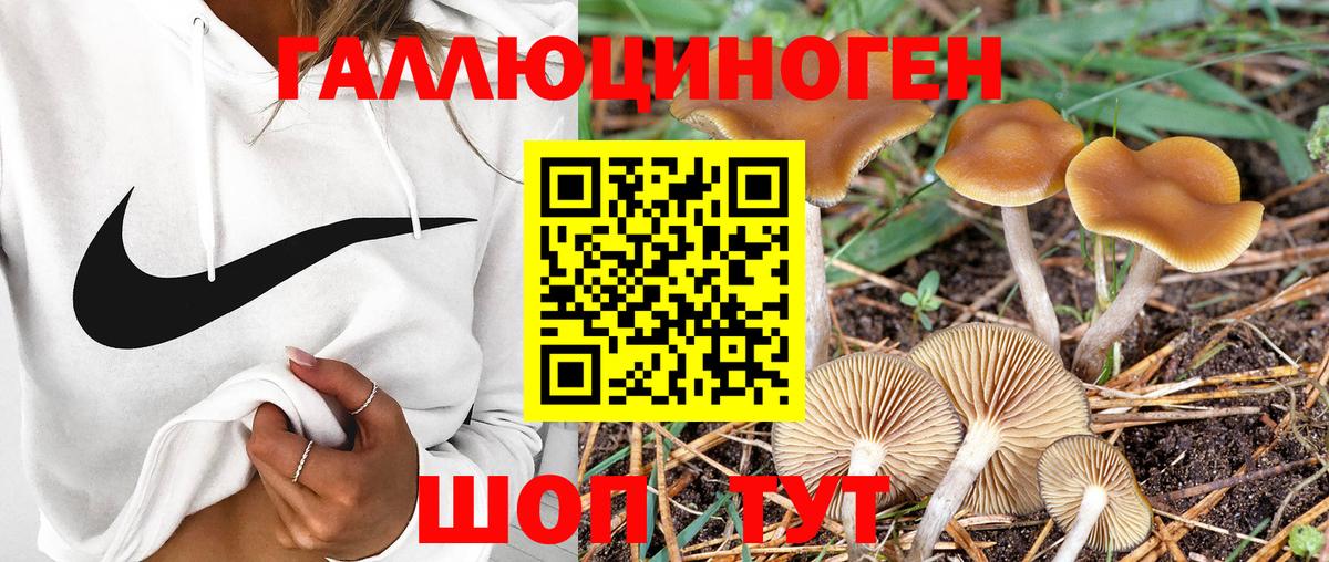 Псилоцибиновые грибы Magic Shrooms Прохладный